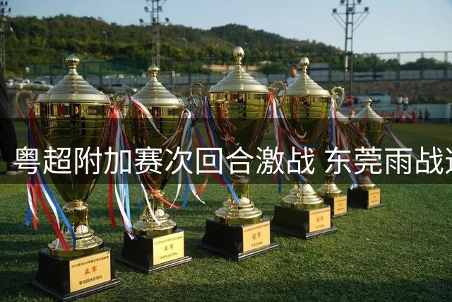 粤超附加赛次回合激战 东莞雨战逆转阳江晋级
