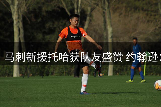 马刺新援托哈获队友盛赞 约翰逊：老将价值将助力球队蜕变